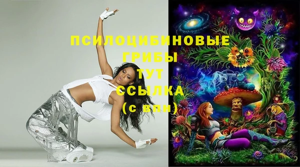 бошки Яранск