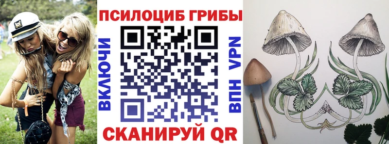 ссылка на мегу онион  Элиста  Галлюциногенные грибы прущие грибы 
