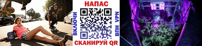МАРИХУАНА Bruce Banner  купить закладку  Элиста 