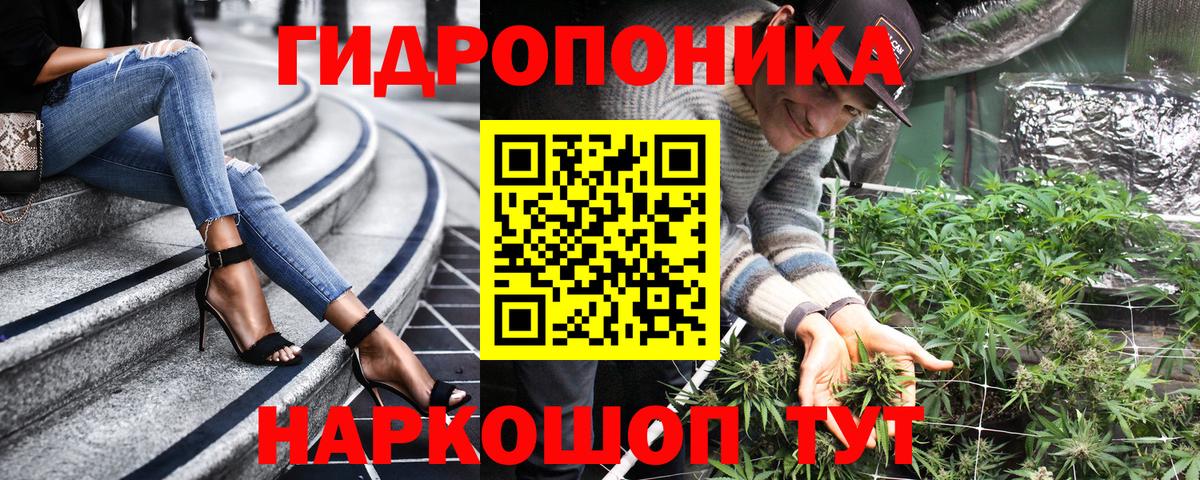 Каннабис сатива Элиста